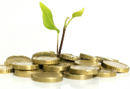 Company Due Diligence in Norway